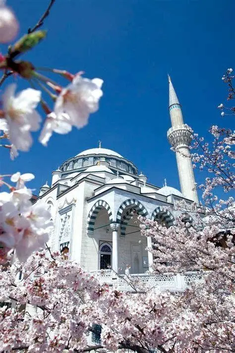 Tokyo Camii Turkish Culture Center Pusat Kebudayaan Turki di Tokyo Camii