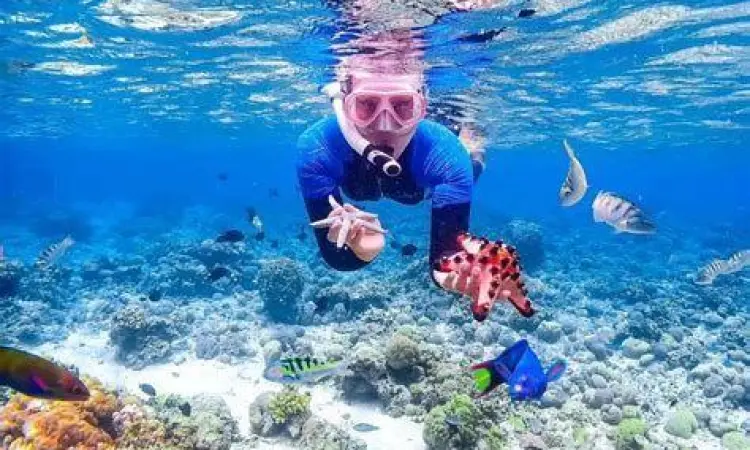 Aktivitas snorkeling sebagai bagian dari wisata alam air