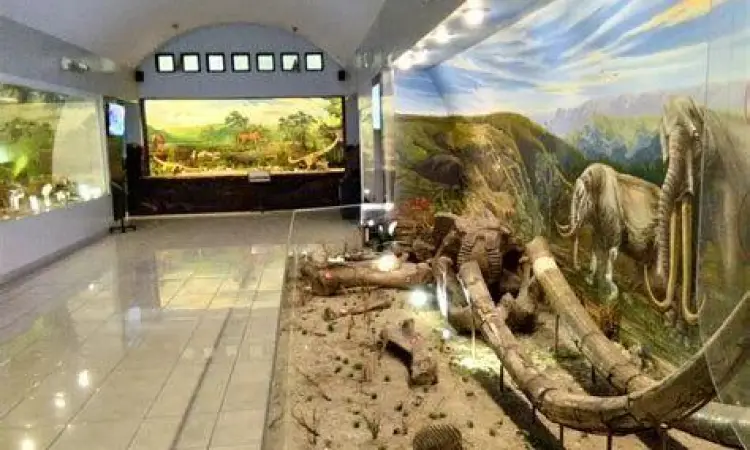 Gedung Museum Sangiran sebagai pusat informasi evolusi