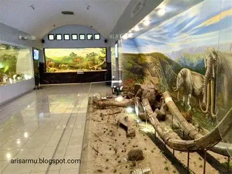 Museum Sangiran Gedung Museum Sangiran sebagai pusat informasi evolusi