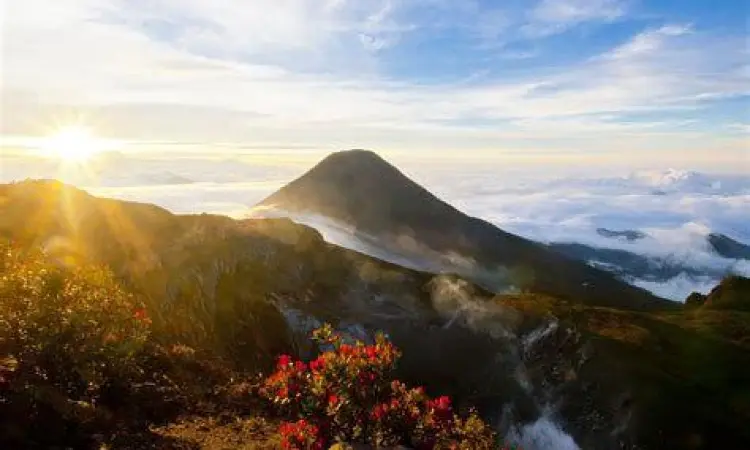 Puncak Gunung Gede Pemandangan dari puncak gunung gede ke arah kawah