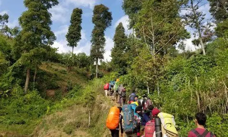 Jalur Gunung Putri Pendaki melewati jalur akar di gunung putri