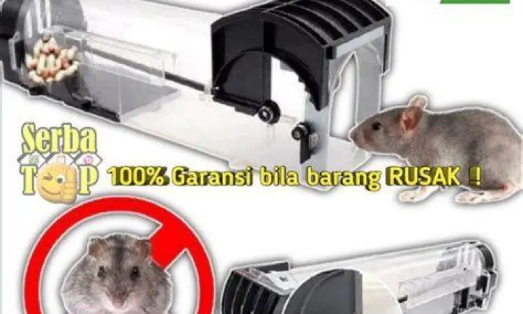 Metode Eliminasi Tikus Alat perangkap tikus got besar