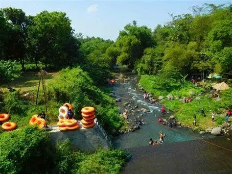 Aktivitas Pengunjung di Umbul Cokro Pengunjung menikmati kejernihan air di Umbul Cokro Tulung