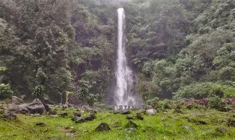 Air Terjun Curug Cijalu Keindahan air terjun utama Curug Cijalu yang jernih