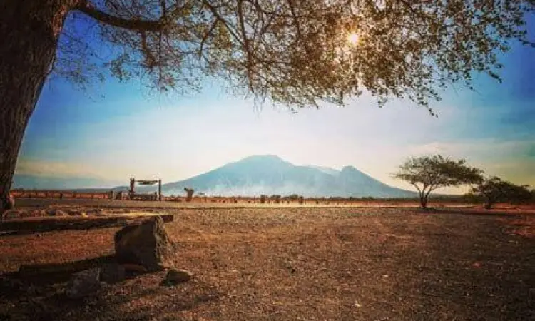 Eksotisme Savana Bekol di Taman Nasional Baluran